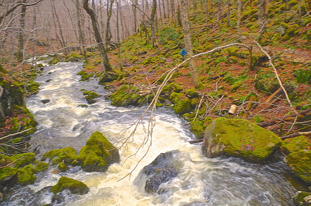 Uisgeban Falls Brook