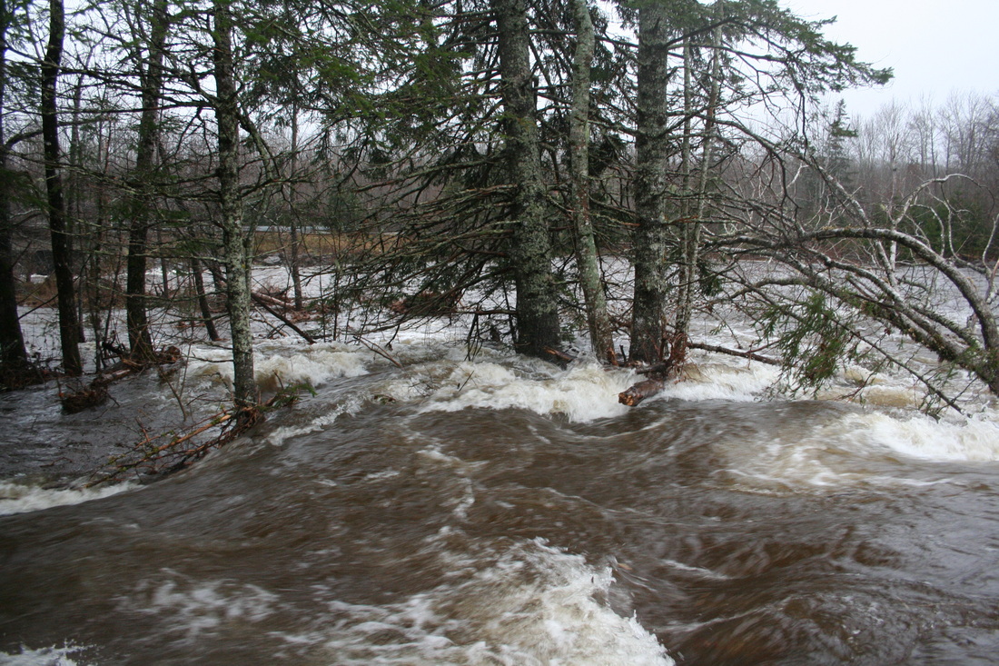 raging Middle River