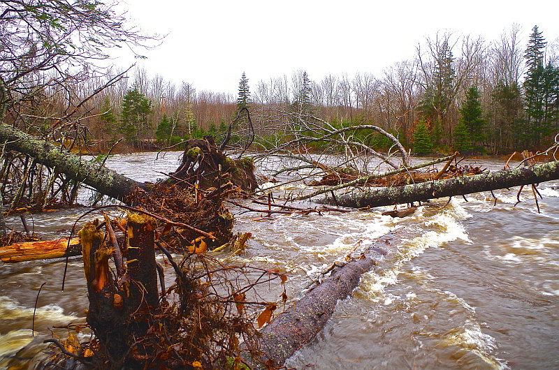 Middle River Flood Damage