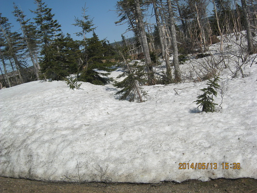 snow on Cabot Trail mid-May